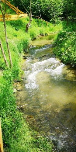 Apartament Strusie Jajo-bieszczady