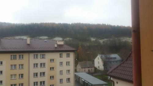 Apartament Bieszczady