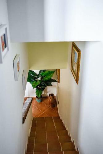 Casa Vacanze Giada
