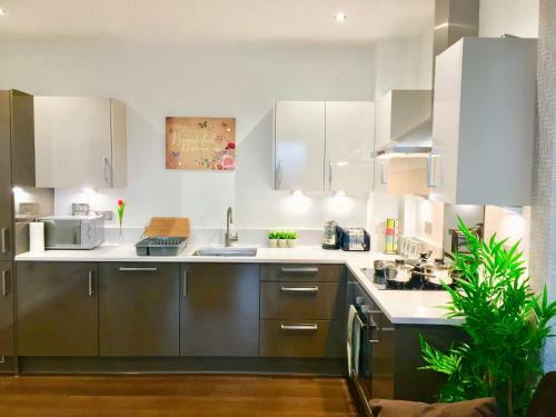 London Excel 2 Bedrooms River View Apartment