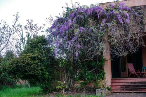 Apartamento Casa Fondachello