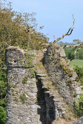 Hostal Killiane Castle Country House & Farm
