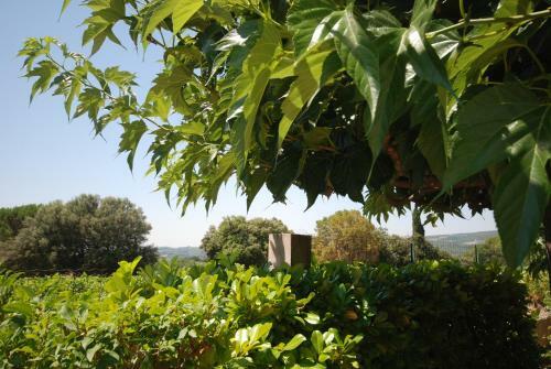 Apartamento Le Grand Barsan