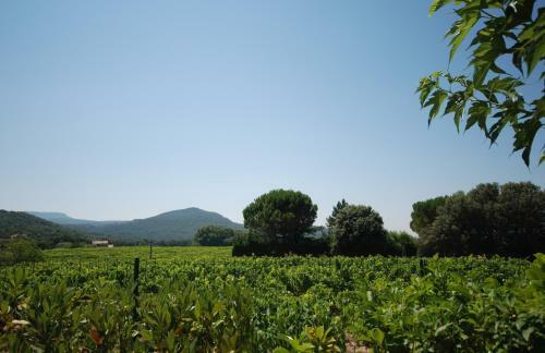Apartamento Le Grand Barsan
