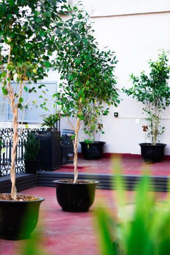 Hotel Vina De Italia