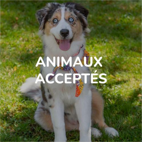 Hotel Premiere Classe Rodez