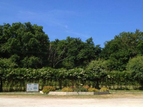 Hotel Motel Des Bruy�res