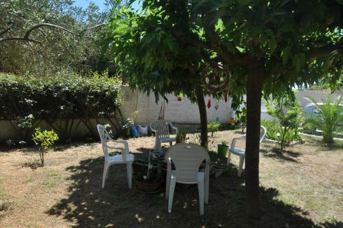 Bed & Breakfast Les 5 Oliviers