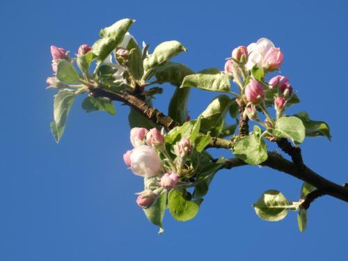 G�te De Charme Les Petits Matins Bleus