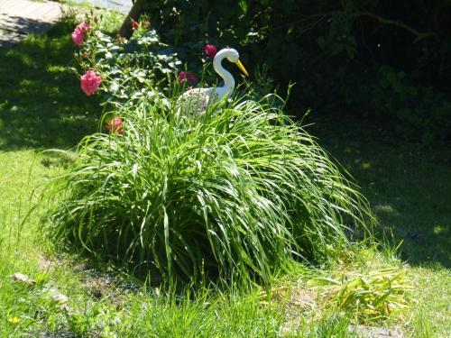 G�te De Charme Les Petits Matins Bleus