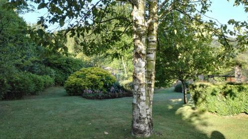 Bed & Breakfast Demeure De La Vendemiere