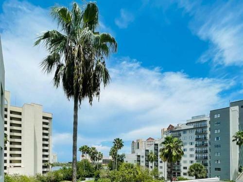 Apartamento Gorgeous Studio Near Parks And Convention Center