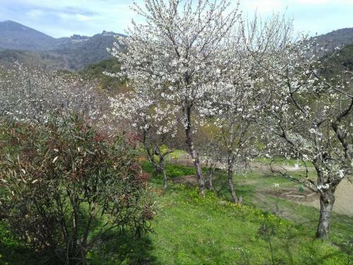 Holiday Home L Acitaja Folelli