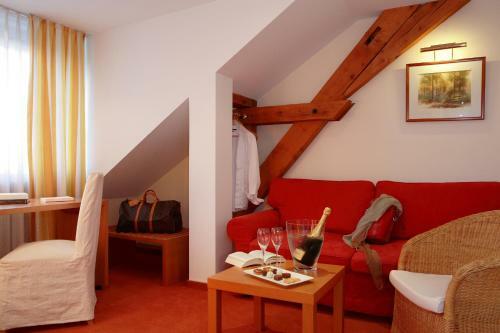 Hotel Auberge Sundgovienne