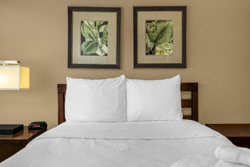 8501 - 4br Disney World Vacation Townhome