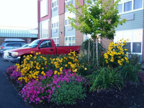 Hotel Claymore Inn And Suites