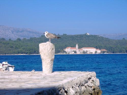 Apartamentos Soline Accommodation