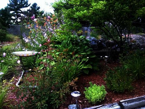Laughing Waters Bed & Breakfast And Vacation Rental