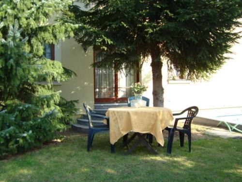 Hostal Villa Olivia