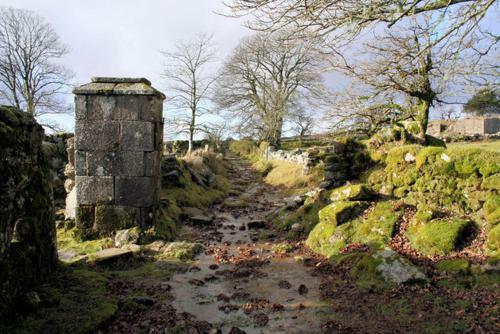 Bed & Breakfast Wydemeet