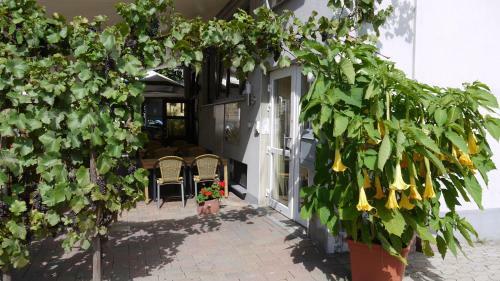 Rhineland Holiday Pinger Hotels
