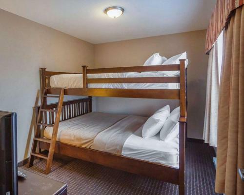 Hotel Comfort Inn & Suites Sylvan Lake