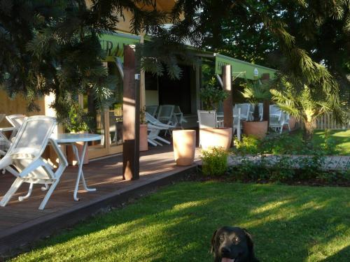 Hotel Logis Le Pont De Champ