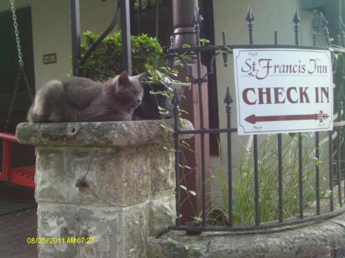 Bed & Breakfast St. Francis Inn - Saint Augustine
