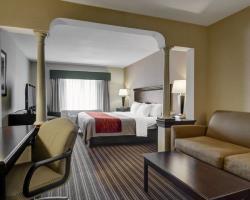 Hotel Comfort Inn Boston/woburn