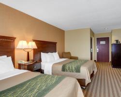 Hotel Comfort Inn Boston/woburn