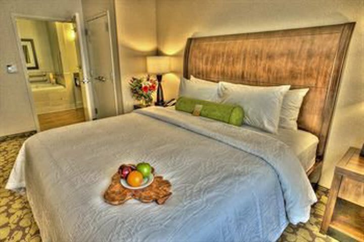 Hotel Hilton Garden Inn Stony Brook