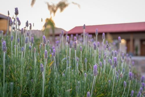 Terra Del Valle Bed & Breakfast