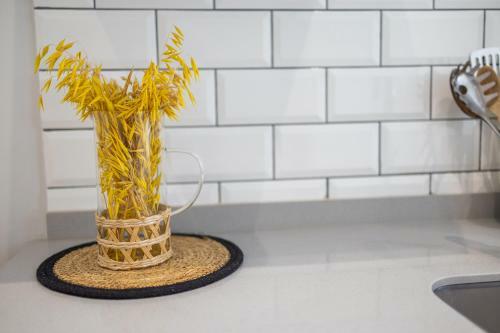 Hostal Florit Flats - The Serreria Rooms