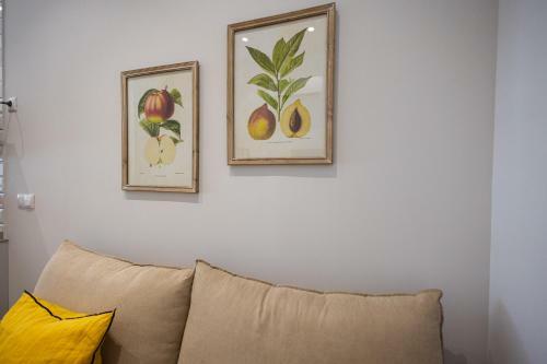 Hostal Florit Flats - The Serreria Rooms