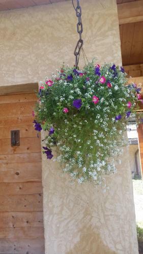 Les Chalets Du Queyras