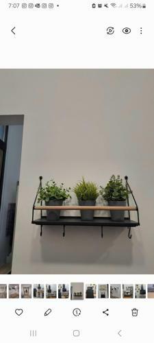 Apartamento Urban Loft Valencia