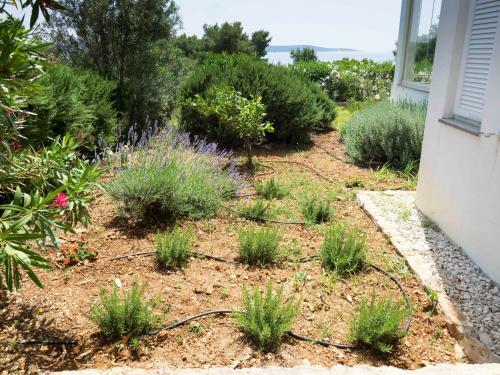 Apartments Nautilus-bay