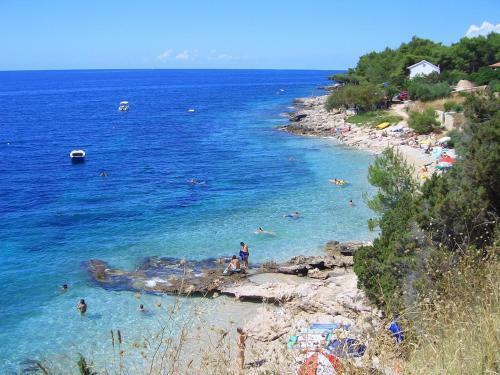 Apartments Nautilus-bay