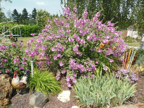 Bed & Breakfast La Rotonde 77