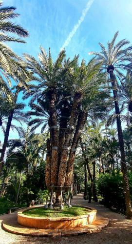 Apartament Vinamar La Mata