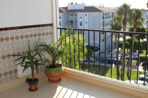 Apartamento Grande Piso Con Terraza