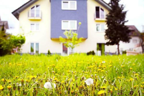 Hostal Hotel Pension Kaempfelbach