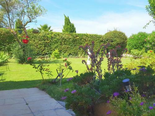 La Maison D � C�t�