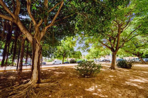 Apartamento Holiday San Miguel 1/8