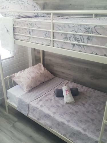 Beachfront Apartment - La Mata