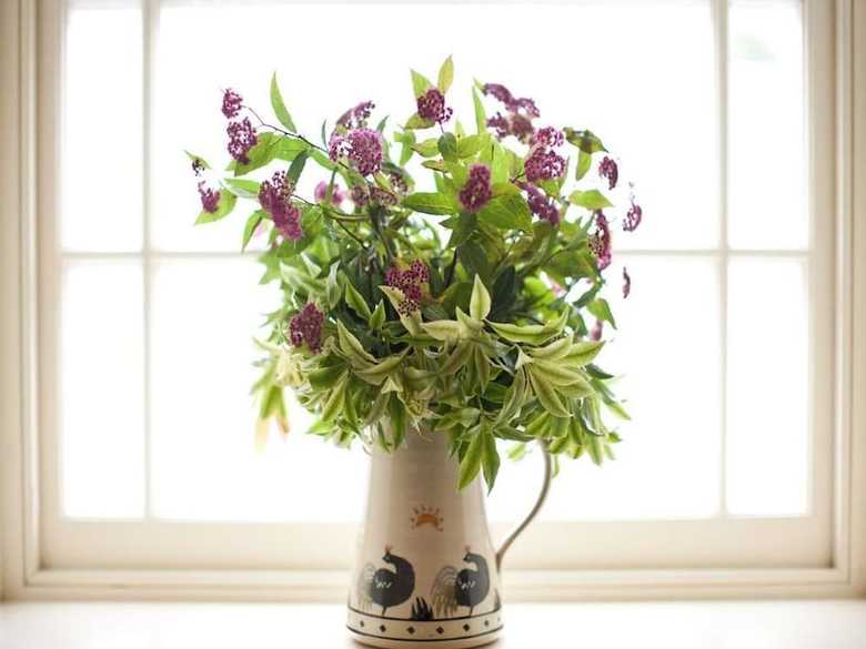 Hostal Ballylagan Organic Farm Guesthouse