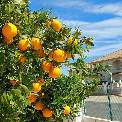 Apartment With Sea View, La Mata