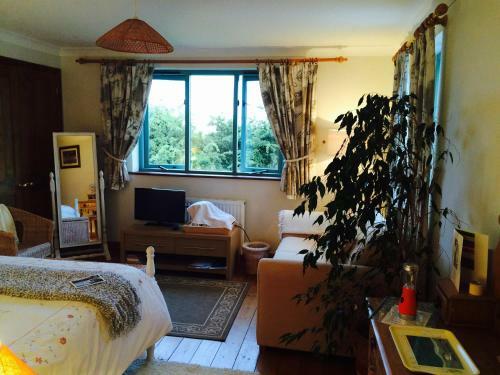 Bed & Breakfast Trecarne House