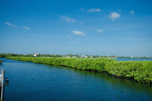 Hotel Indigo Reef Resort Villas