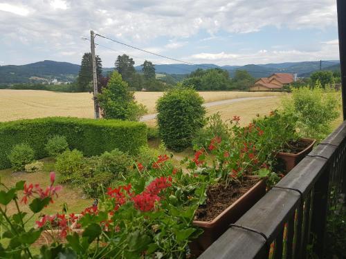 Bed & Breakfast Le Clos Des Aulnes